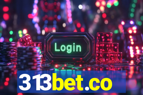 313bet.co