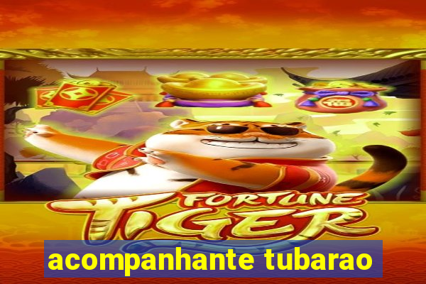 acompanhante tubarao