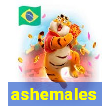 ashemales