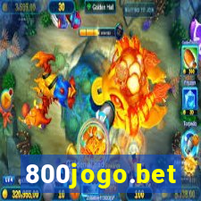 800jogo.bet