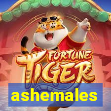 ashemales