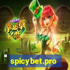 spicybet.pro