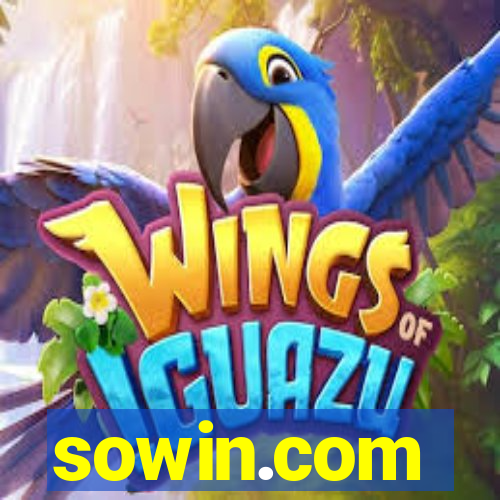 sowin.com