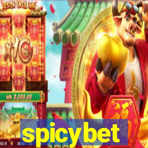 spicybet-3.com